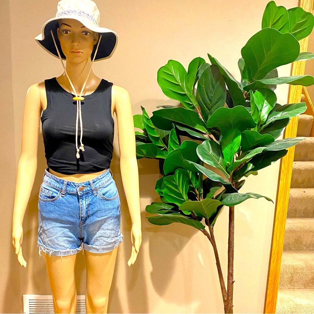 High wasted BDG. Jean shorts, size 26